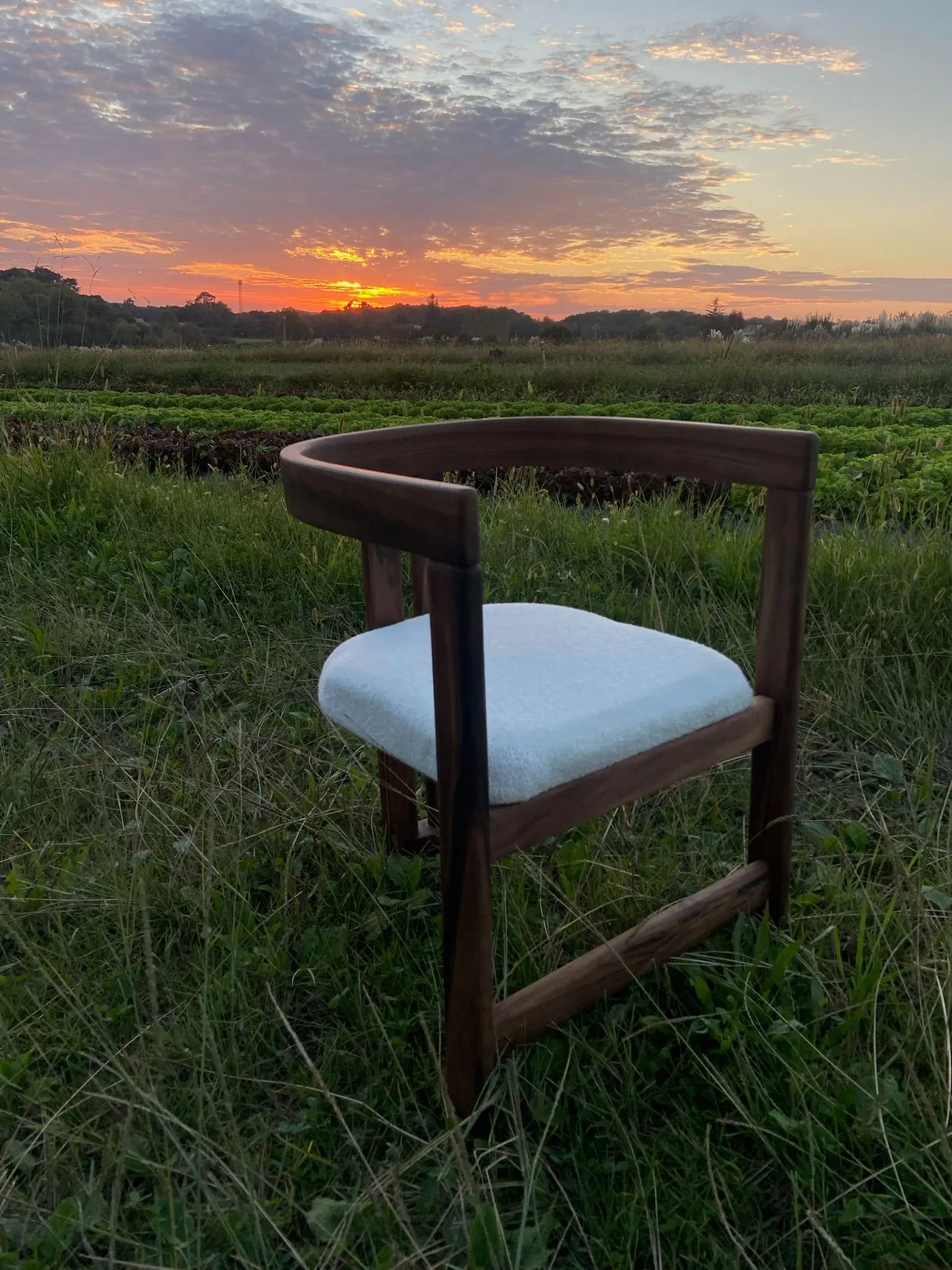 Fauteuil en bois foncé à dossier arrondi et assise blanche, dans l’herbe au coucher du soleil
